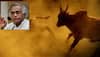 Modi govt allowed 'Jallikattu' to please few political leaders of South: Congress