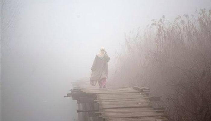 Dense fog, intense cold affects life in Kashmir