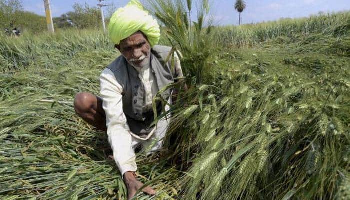 Govt okays new crop insurance plan for farmers at low premium