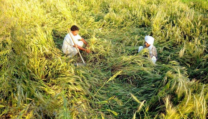 Govt clears &#039;life transforming&#039; Rs 17,600-cr new crop insurance scheme for farmers