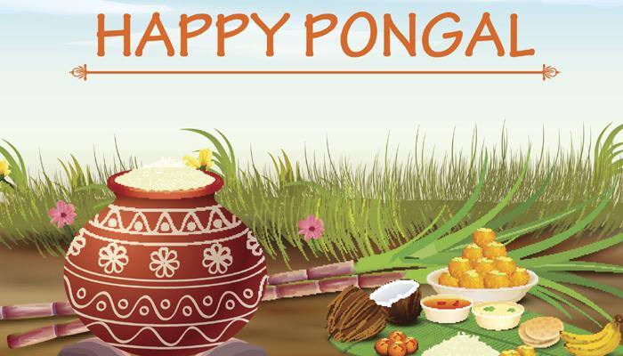 How is &#039;Pongal&#039; celebrated?