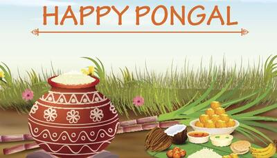 How is 'Pongal' celebrated?