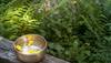 Remove negative energy from your house with salt water!