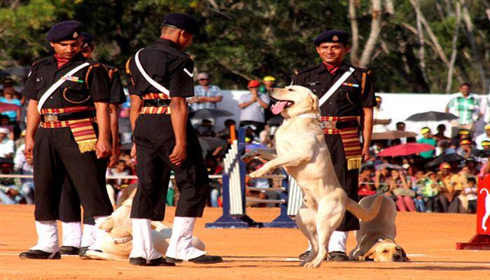 After 26 years, Army dogs to walk down Rajpath this Republic Day