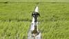 Would set up panel to re-look policy on farmers: Centre to SC