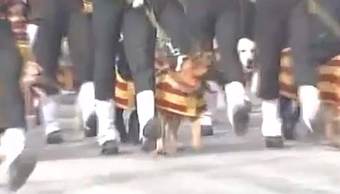 These dogs are Indian Army&#039;s pride – watch them prepare for Republic Day parade