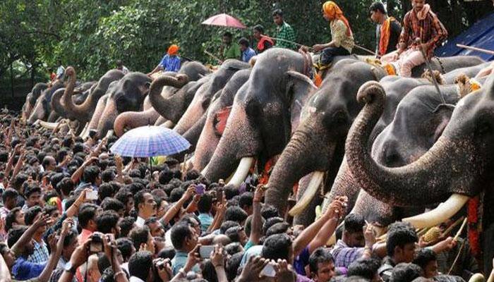 Debate over use of elephants at Sabarimala shrine reignites after tusker kills another devotee