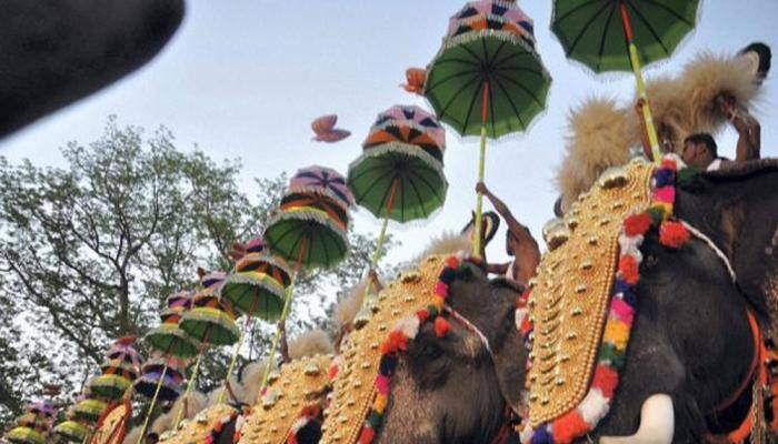 Sabarimala elephant attack: Kerala HC seeks Animal Welfare Board's opinion