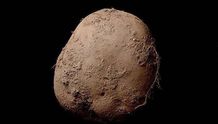 Believe it or not! A businessman buys photo of a potato for $1.5 mn