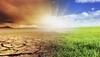 Record warm years 'almost certainly' due to man-made climate change