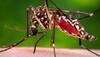 Zika virus in US