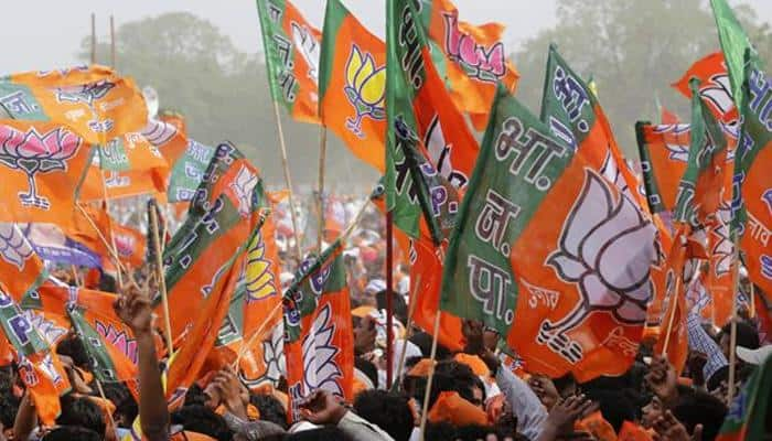 &#039;BJP taking steps to form &#039;strong&#039; alliance for Tamil Nadu polls; talks in progress&#039;