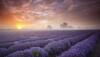 World's most unbelievably beautiful places that exist in reality – Watch video 
