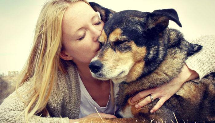 Your dog loves you five times more than your cat!
