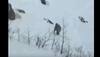 Yeti mystery solved? Trekker 'captures' movements of Abominable Snowman in Bhutan
