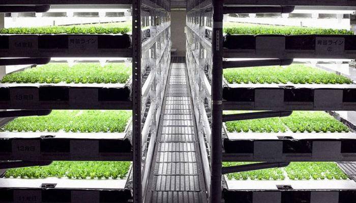 Coming soon: World's first fully robotic farm in Japan!