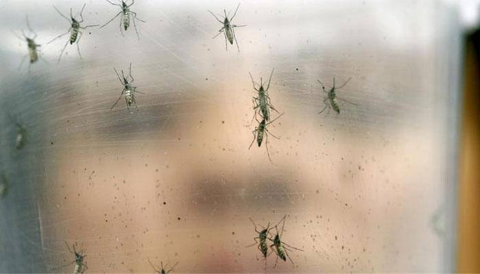 Honduras declares national emergency over Zika virus