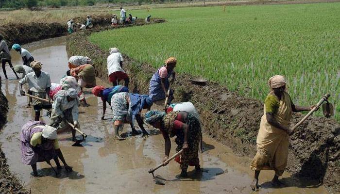 MGNREGA spending at record high, no cut in allocation: FM