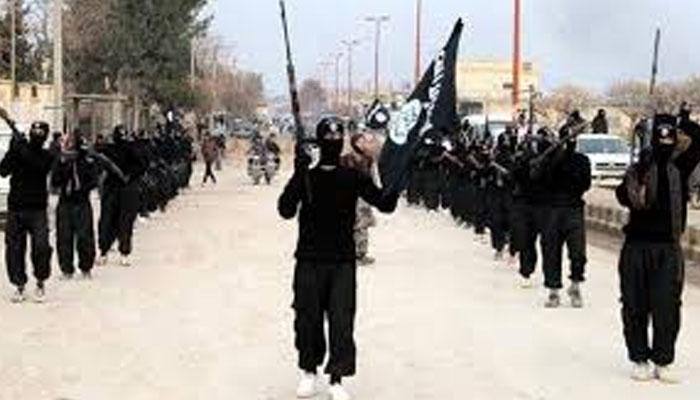 'Islamic State has fewer fighters and is weaker'