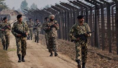 BSF guns down 2 Pakistani, 2 Indian drug smugglers near border in Punjab