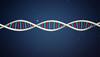genetic link