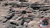 See pic: Call for further study after discovery of baboon-like creature on Mars!