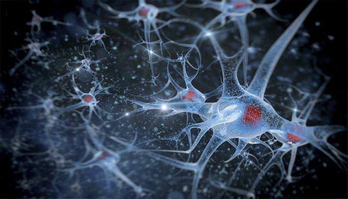 New method to 'weld' neurons using lasers