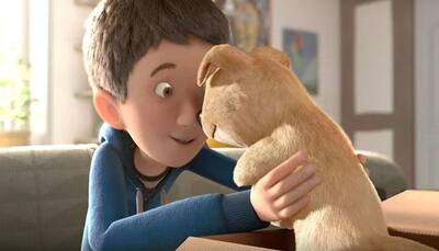 Oh boy! Have you seen a three-legged dog? Watch short film which tells a touching tale
