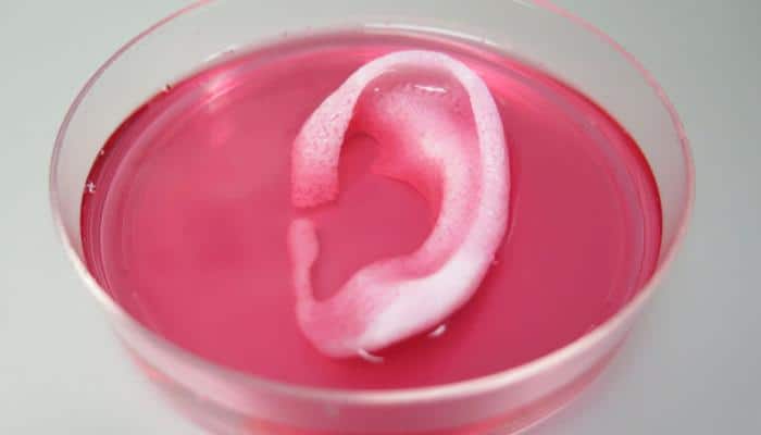 This 3D printer can produce human tissues, organs!