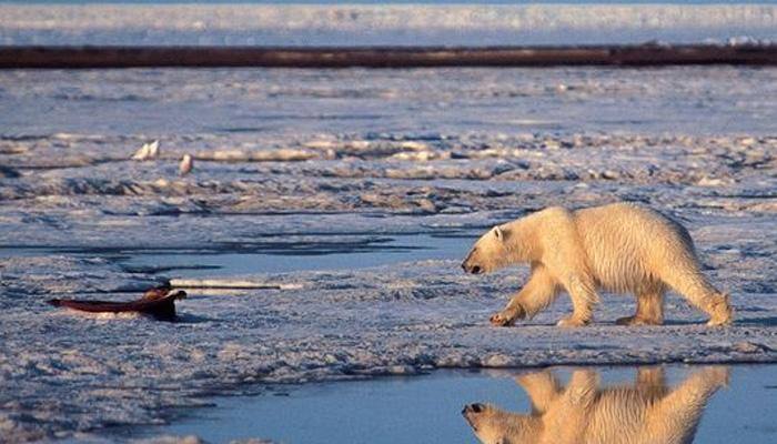 'January 2016 hottest since records began'