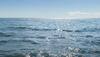 Sea level rising faster than ever: Report
