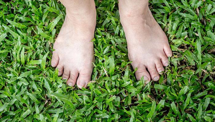 Science behind touching elders&#039; feet to seek blessings