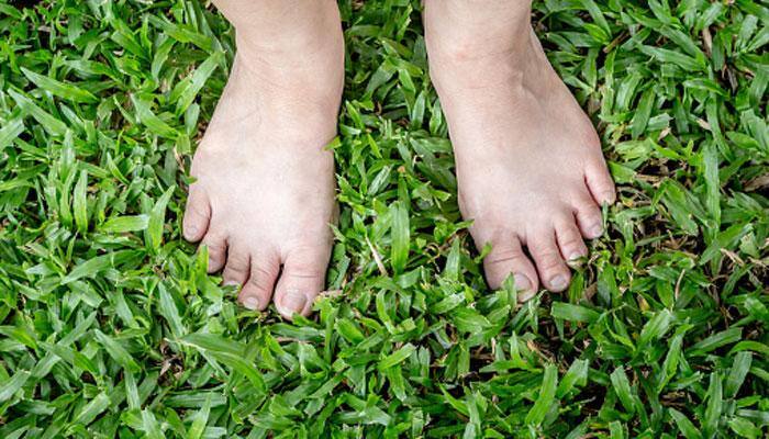 Science behind touching elders' feet to seek blessings