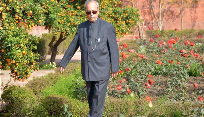 Muziris heritage project reminds us of our history: President Pranab Mukherjee