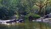 Visit the exotic Coorg: 3-day itinerary in 60 seconds – Watch video