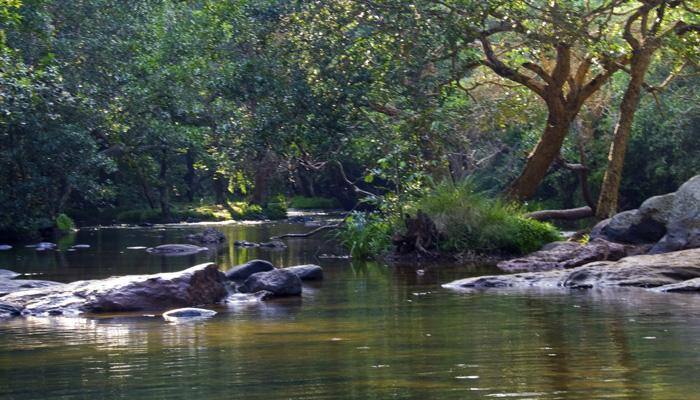 Visit the exotic Coorg: 3-day itinerary in 60 seconds – Watch video