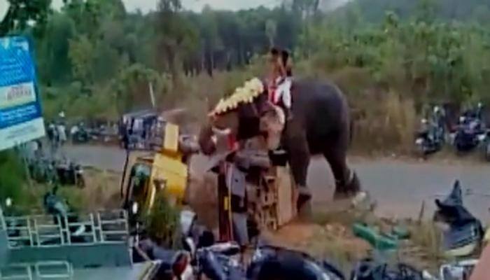 Watch – Elephant goes on rampage in Kerala, destroys vehicle