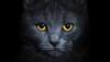 Take a test: Know your dark side according to zodiac sign