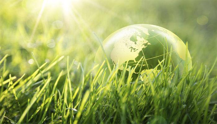 Human activity driving Earth into new geological era