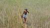 Fitch lowers India growth forecast to 7.7% for FY'17