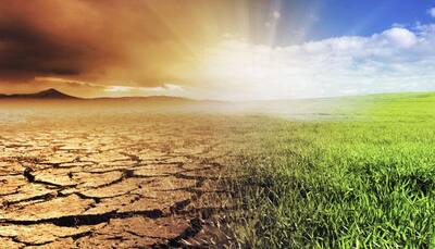 Humans responsible for record-breaking hot years since 1930s: Study