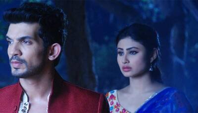 'Naagin' twist: Ritik will marry Shivanya's sister Shesha soon!