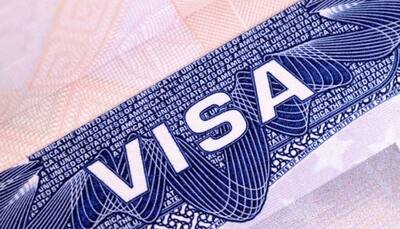 I use H-1B visas, it should end: Donald Trump