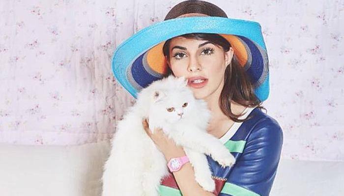 So cute! Jacqueline Fernandez looks utterly adorable in this latest photoshoot – See pic