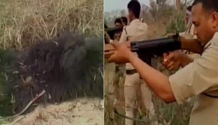 Police, forest dept officials in Chhattisgarh shoot bear which mauled three to death, activist condemns act 