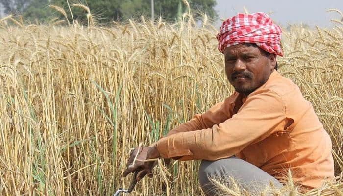 Save water, diversify crops, take up allied jobs: PM Narendra Modi to farmers