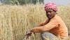 Save water, diversify crops, take up allied jobs: PM Narendra Modi to farmers