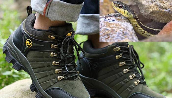 Unbelievable! Woodland to launch Snake Bite resistant shoes, hand-free umbrella