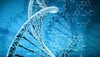 Our DNA less 'human' than scientists previously thought!