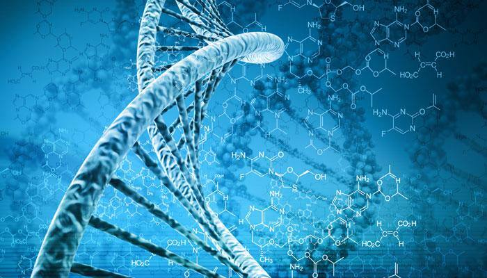 Our DNA less 'human' than scientists previously thought!